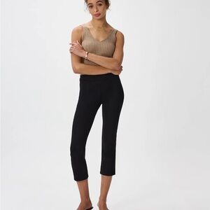 Quince Women's Black Cropped Pants